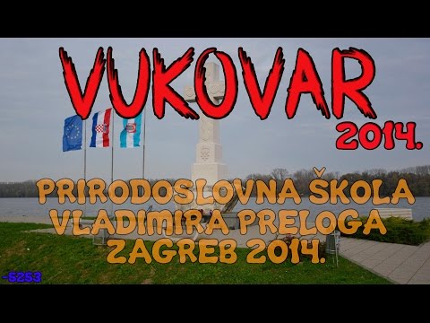 Video: Križ sv. Jurja. Povijest jedne nagrade