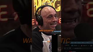 Joe Rogan Tells CRAZY Story About Sugarman🤯