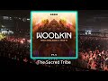 WOODKIN, Mollono Bass, MAZ'N - Never Now (Original Mix) - #melodichouse #thesacredtribe