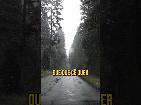 O que você