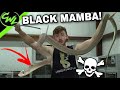 BLACK MAMBA COMES OUT THE BOX!!!