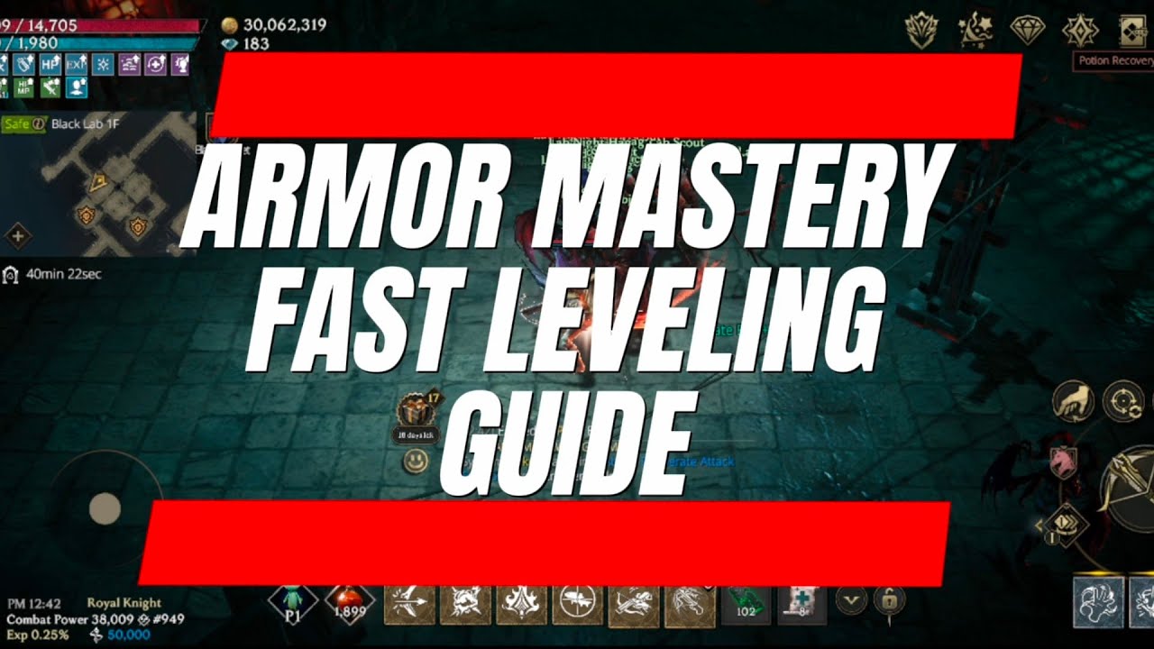 LORDNINE: ARMOR MASTERY FAST LEVELING GUIDE (stats,equip & ability) 