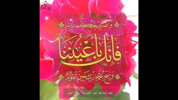 "واصبر لحكم ربك فإنك بأعيننا"  القارئ الشيخ عبد الباسط عبد الصمد.. خاشعة حالات واتس إسلامي..