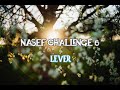NASEF CHALLENGE 6 - LEVER