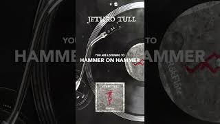 Jethro Tull – Hammer on Hammer #shorts #rokflote #jethrotull