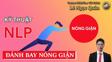 TRỊ LIỆU DÒNG THỜI GIAN-NLP| QUẢN TRỊ CẢM XÚC LÀ GÌ?