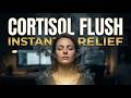 The Cortisol Flush | Empty Your Stress Tank in 5 Minutes