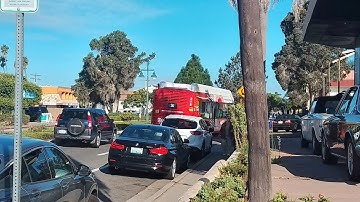 (The New Breed!!!!) San Diego Metropolitan Transit System 318: 2025 New Flyer XN40 Xcelsior CNG 1/2