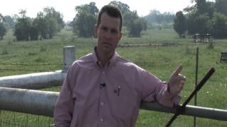 Jason Cleere - Beef & Cattle Literacy - Stewardship Welfare