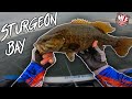 Great Lake, Big Waves, Giant Bass- 2020 MLF Sturgeon Bay