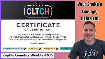 The Revolutionary Virtual Studbook (and More) For Snakes: CLTCH! - RGW Ep 105