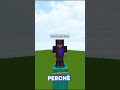 Un Segreto Molto Triste su Minecraft... #shorts