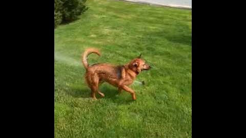 Like drinking from the firehose