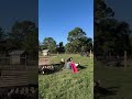 Goats Reel