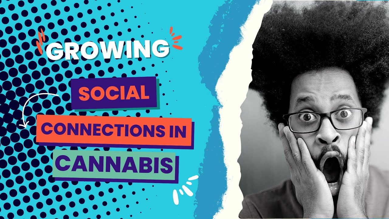 Growing Social Media Connections in Cannabis 🤳