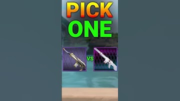 Prime or Spectrum Phantom? 😎   #valorant #egelc #skins