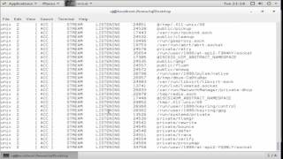 netstat command for network management screenshot 4