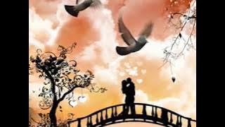 - YOU'RE NOT FROM HERE -