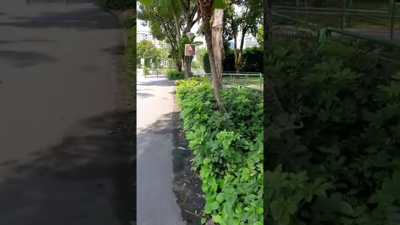 kallang park singapore