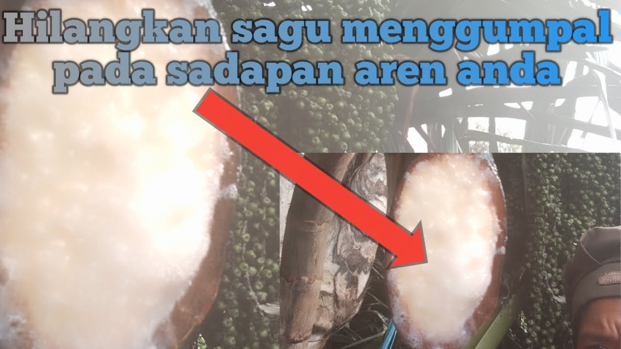 cara mengatasi gumpalan sagu yang berlebihan,.