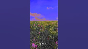 سورة الحجر القارئ#إسلام_صبحي  #فلسطين#السعودية#الجزائر#المغرب#مصر#تونس#ليبيا#موريتانيا#اكسبلور#عرب