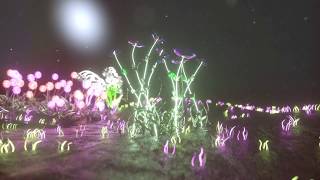 Jonah Levine Collective - Zootcase ft. MNDSGN (Attention Deficit)