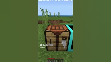 T-Tetrimino Dagger Knockback! - MINECRAFT X TETRIS ADD-ON