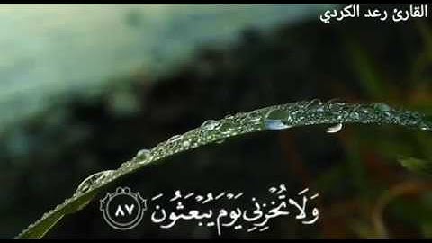 "وَلَا تُخْزِنِي يَوْمَ يُبْعَثُونَ" تلاوة عذبة خاشعة من سورة الشعراء - القارئ رعد الكردي