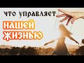 ТАЙНОЕ ПРАВИТЕЛЬСТВО нашего организма! Какую роль в нашей жизни играют ГОРМОНЫ?