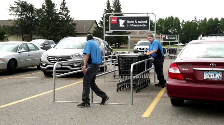 Cub Foods Brainerd/Baxter and Productive Alternati...
