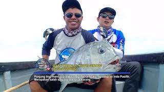 PREDATOR DARI SURGA DIVING - MANCING MANIA (10/9/17) 3-1