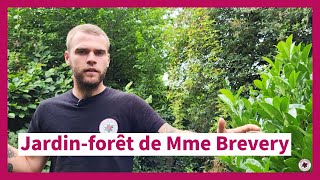 Le Jardin-Forêt De Mme Brevery À Neufchâteau Permazoom