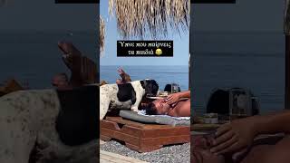 Ύπνε που παίρνεις τα παιδιά 😂 #κατοικιδια