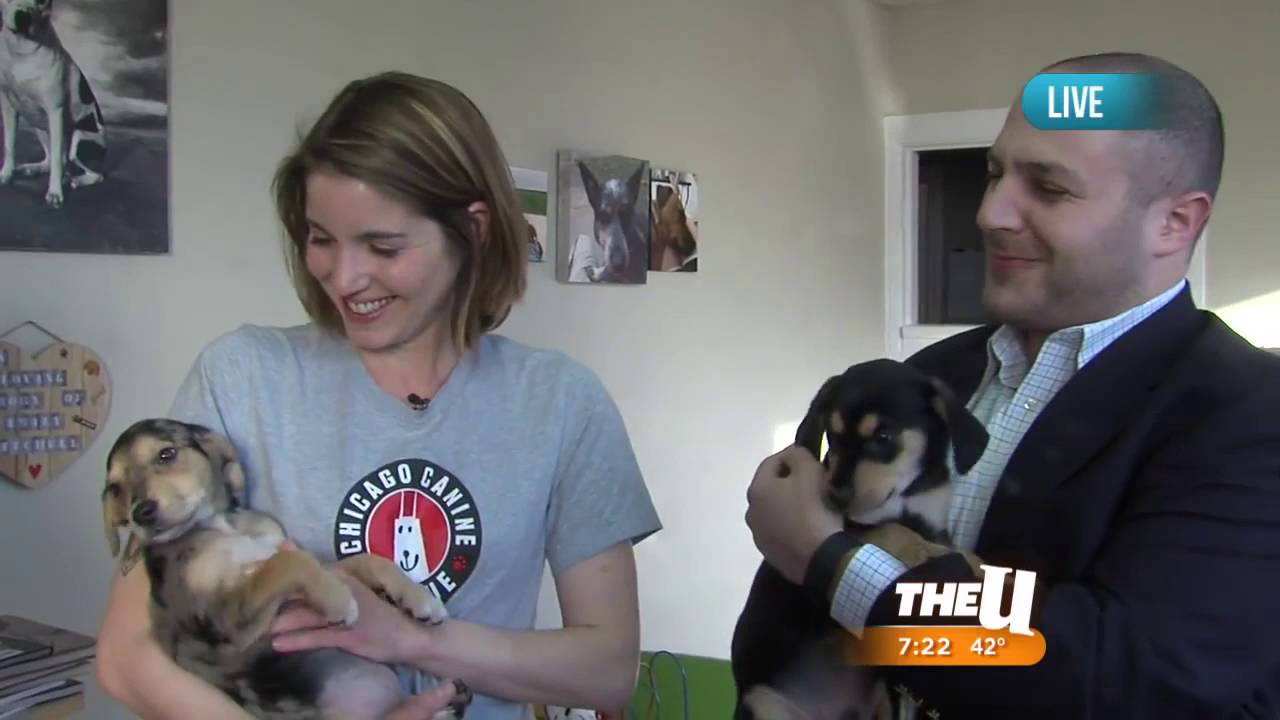 Chris DeRose TV Reel