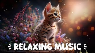 Relaxing Music ( Playlist )  Relax / Study / Sleep, butterfly, Cute  Cat ,Bengal Cat,Day29