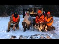 Snowshoe hare hunting with beagles in Maine.   Kill shots and lots of action.