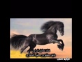 قصيدة الشيخ ركان بن حثلين بالخيار 