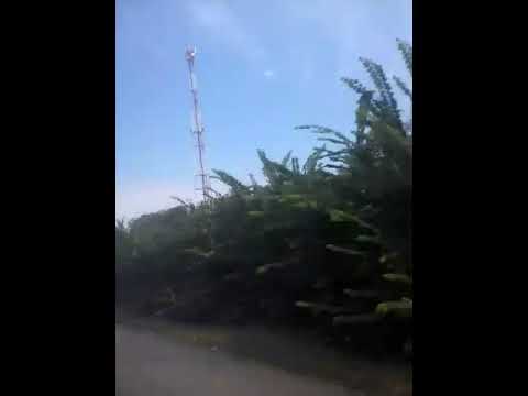 Красота Кировоградской области🌻🌸😘