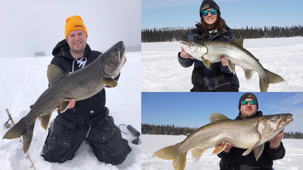 March Madness Manitoba Trophy Lake Trout 