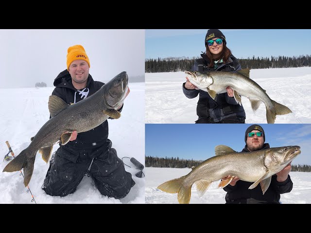 Lake Trout Ice Fishing With Livescope PLUS (LVS 34) 