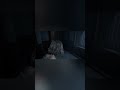 Escape the Darkness: Resident Evil Requiem Part 3 #shorts