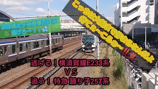 横須賀線E235系vs特急 踊り子257系 並走バトル