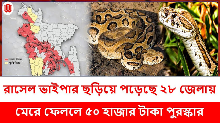 রাসেল ভাইপার ছড়িয়ে পড়েছে ২৮ জেলায়, মে+র= ফেললে ৫০ হাজার টাকা পুরস্কার । WNTD TV Bulletin