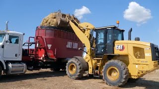 How Cat® Equipment Supports Chad Berger’s Bull Bucking Business