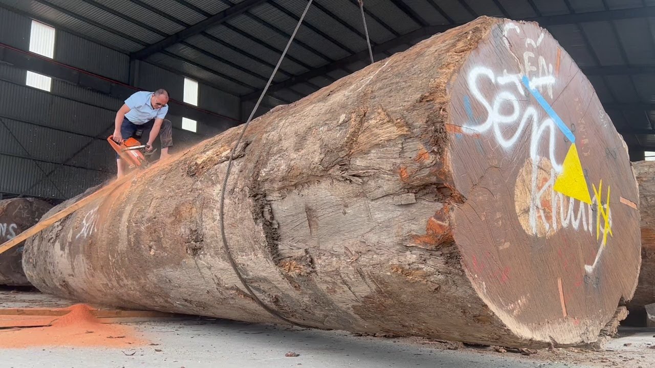 Amazing Biggest Woodworking Heavy Sawmill Cutting Wood - Process Of ...