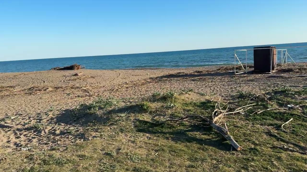 Hiçbir şey konuşmadan sessiz, dingin beraber yürüyelim mi?