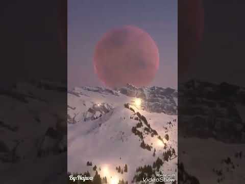 حلف القمر وائل جسار