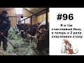 #96: Купили нетелей