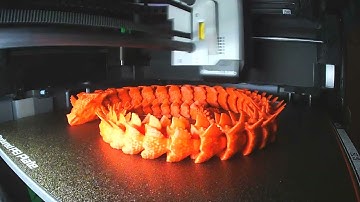 Bambu Lab P1S time Laps Dragon.