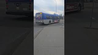 Edmonton Transit New Flyer Buses.